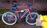 (2) Adult Bicycles