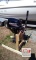 2020 Mercury 9.9 Tiller Steer Outboard Motor