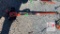 Echo Pole Saw