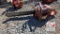 Husqvarna Chainsaw