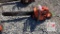 Husqvarna Chainsaw