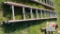 Fiberglass Extension Ladder