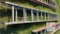 Aluminum Extension Ladder