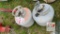 (2) Propane Grill Tanks