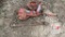 Farmall Hydraulic Pump