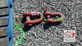 (2) Large Clevis Pins