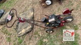 Briggs & Stratton Edger