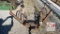 5' Cultivator - 3 Pt Hitch