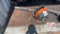 Echo Backpack Blower