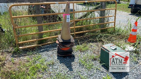 (10) Safety Cones