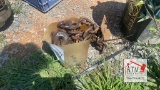 16' Chain w/ Hooks