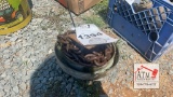 16' Chain w/ Hooks