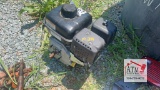 NEW Briggs & Stratton TR950 Engine