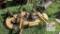John Deere 261 Finish Mower - 3 Pt Hitch