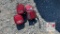 (4) Brake Lights