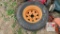 Scag Turf Tiger Wheel/Tire
