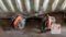 (2) Backpack Blowers