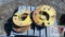 (12) Wheel Weights