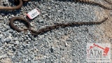 8' Chain