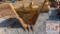 PM V Ditch Excavator Bucket (CAT 315/316)
