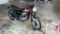 2022 Kawasaki W800 Motorcycle