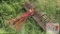4' Landscape Rake - 3 Pt Hitch