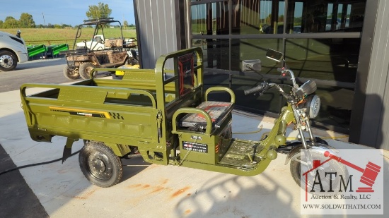 NEW Landhonor Electric Tricycle