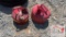 (2) Used Metal Gas Cans