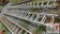40' Aluminum Ext Ladder
