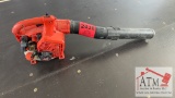 Echo Blower