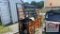 NEW Landhonor 10' Cattle Squeeze Chute