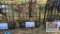 NEW Single Leaf Iron Gate
