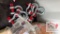 (10) NEW 14500LB D-Ring Shackles
