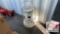 Kerosene Heater