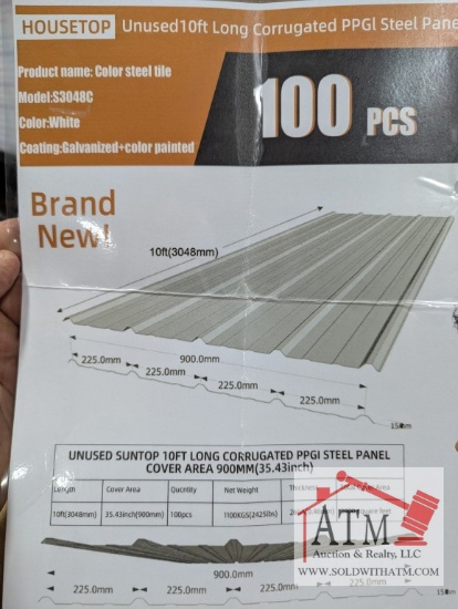 (100) Galvanized & Painted Roof Panels