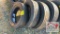 (4) Misc Used Truck Tires