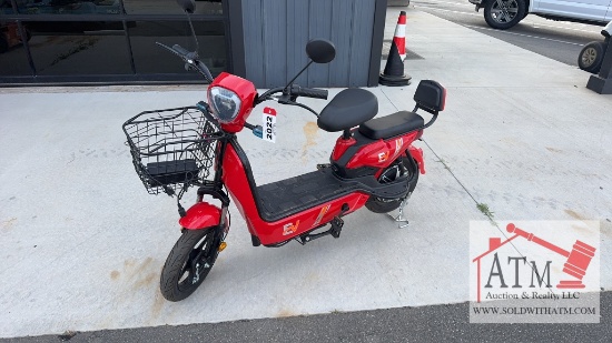 Electric Scooter