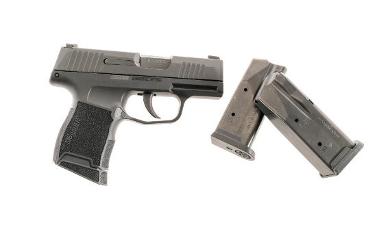 Sig Sauer P365 9mm Semi Auto Pistol