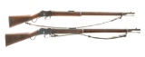 Martini Henry .577/450 2 Pcs Lot Rifles
