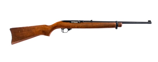 Ruger 10/22 Carbine .22 LR Semi Auto Rifle
