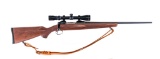 Savage Arms 11 .243 Win Bolt Action Rifle