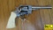 APINTL-PAHRUMP NV 106S .22 LR Revolver. Good Condition. 6