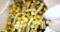 Starline Inc. 9MM Largo Brass . 500 9MMx23 Unprime Brass Casings. . (64899)