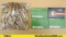 Remington, CBC, Etc. 30.06 Ammo. Approx. 209 Rds. . (67091) (GSCU60)