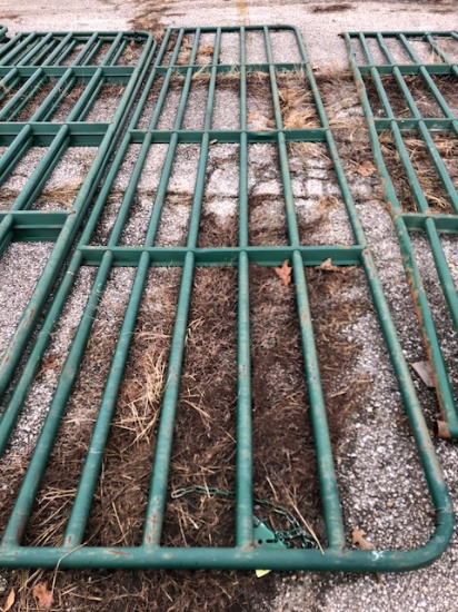 16 Ft. Gate