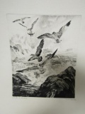 Vintage Gulls At Monterey Original Drypoint by R.H. Palenske Reproduced in Talio-Chrome.