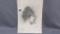 Will Larrymore Smedley; Chautauqua New York Artist 10.75