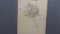 Will Larrymore Smedley; Chautauqua New York Artist 11.5