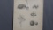 Will Larrymore Smedley; Chautauqua New York Artist 8.25