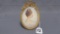 Will Larrymore Smedley; Chautauqua New York Artist 3'' x 2.5'' in decorativ